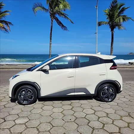 BYD Dolphin Mini - Imagem 6