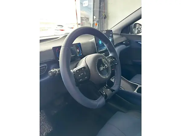 BYD Dolphin Mini - Imagem 12