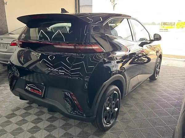 BYD Dolphin Mini - Imagem 19