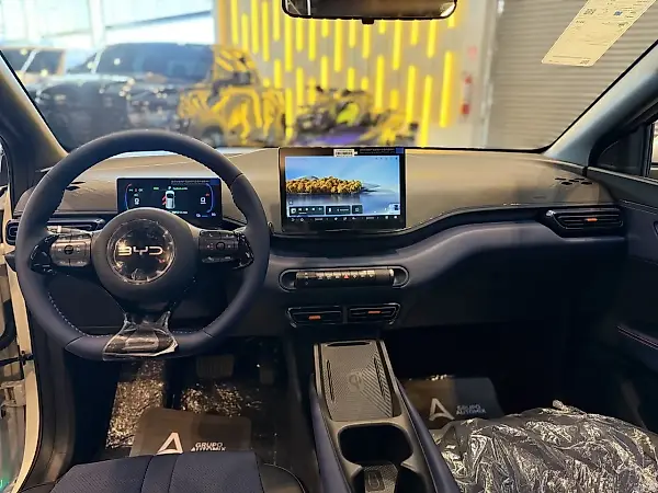 BYD Dolphin Mini - Imagem 5