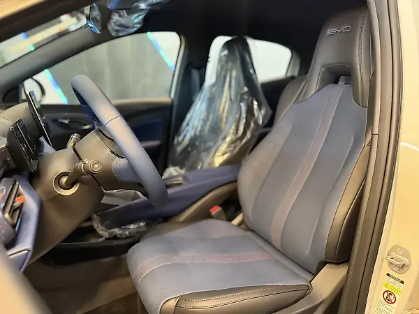 BYD Dolphin Mini - Imagem 8