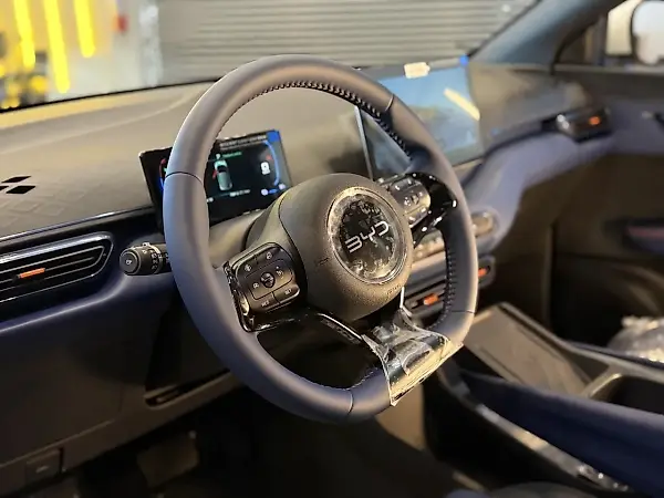 BYD Dolphin Mini - Imagem 6