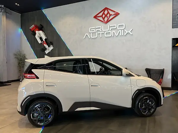BYD Dolphin Mini - Imagem 10