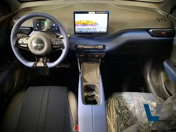 BYD Dolphin Mini - Imagem 8