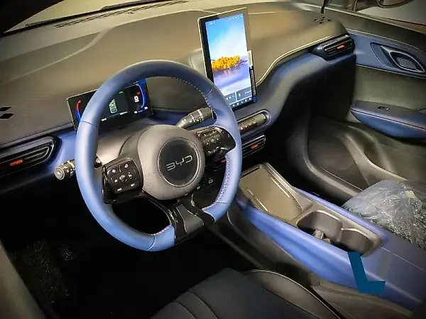 BYD Dolphin Mini - Imagem 9