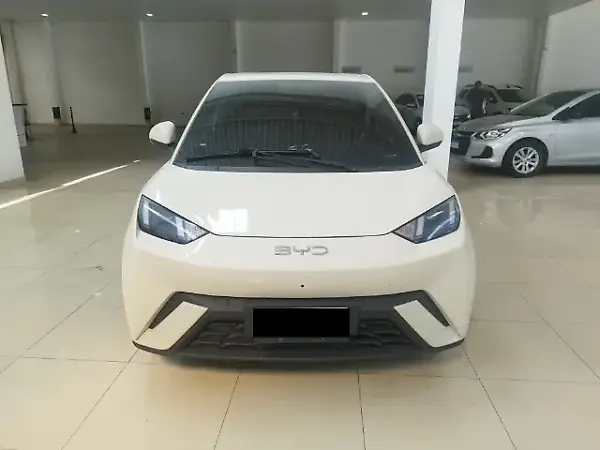 BYD Dolphin Mini - Imagem 1
