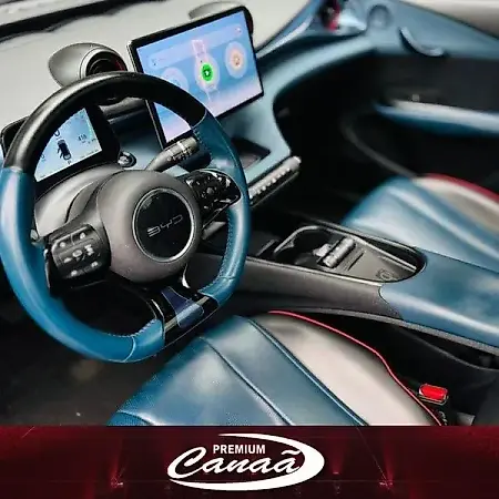 BYD Dolphin - Imagem 3