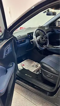 BYD Dolphin Mini - Imagem 6