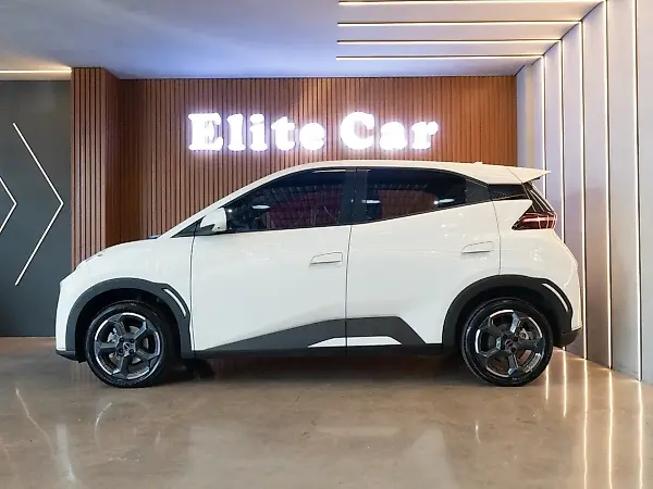 BYD Dolphin Mini - Imagem 2