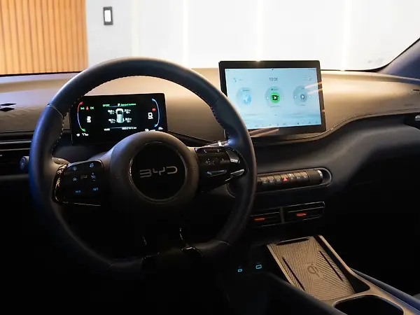 BYD Dolphin Mini - Imagem 8