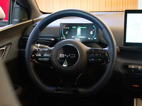 BYD Dolphin Mini - Imagem 9