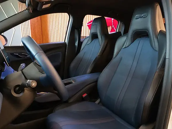 BYD Dolphin Mini - Imagem 15