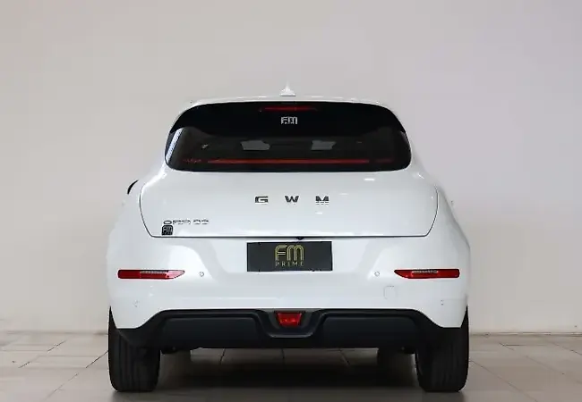 GWM Ora 03 - Imagem 3