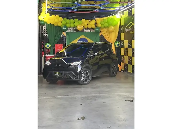 BYD Dolphin Mini - Imagem 1