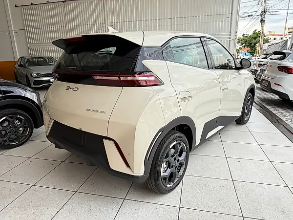 BYD Dolphin Mini - Imagem 8