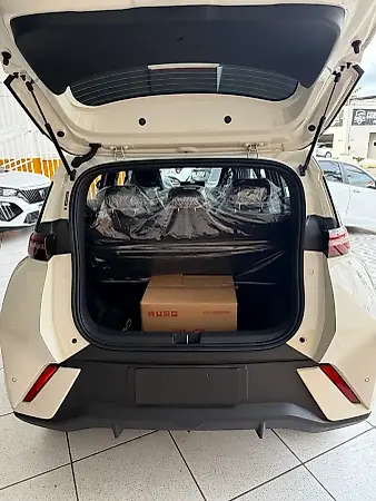BYD Dolphin Mini - Imagem 10