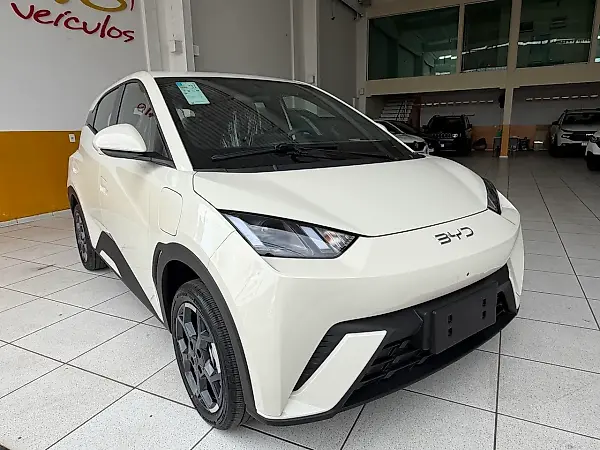 BYD Dolphin Mini - Imagem 20