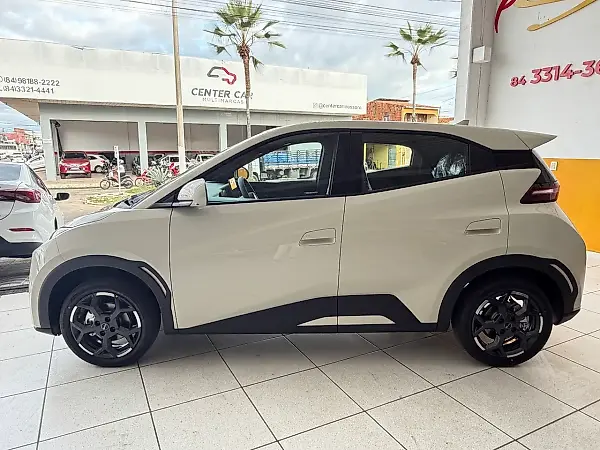 BYD Dolphin Mini - Imagem 19