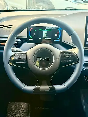 BYD Dolphin Mini - Imagem 7