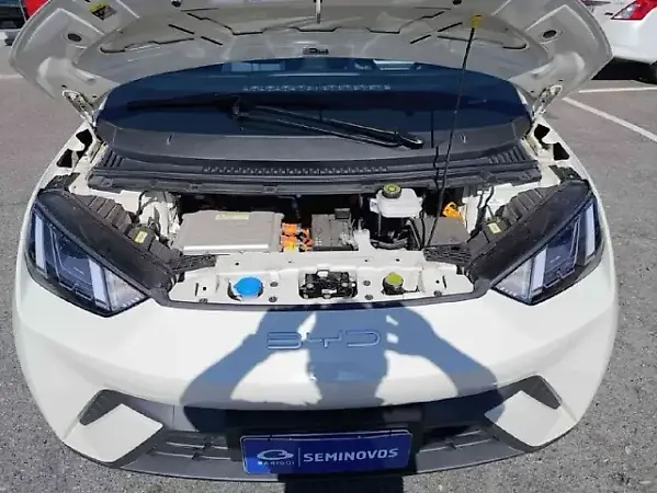 BYD Dolphin Mini - Imagem 11