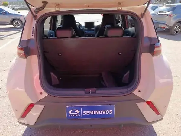 BYD Dolphin Mini - Imagem 12