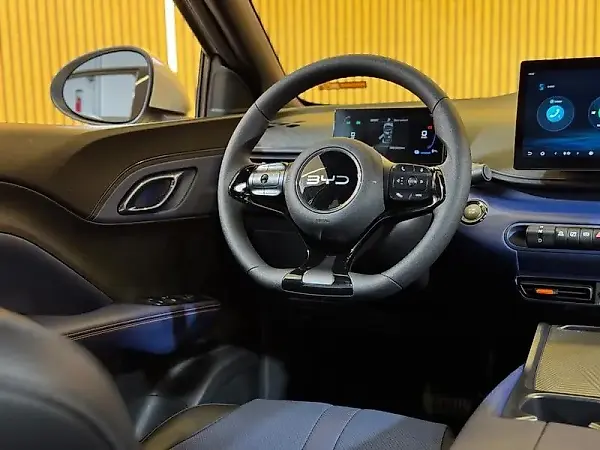 BYD Dolphin - Imagem 17