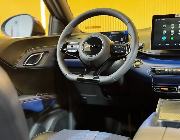 BYD Dolphin Mini - Imagem 13