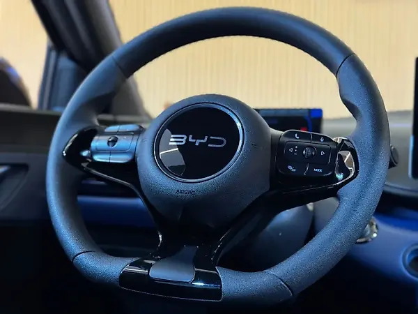 BYD Dolphin Mini - Imagem 18