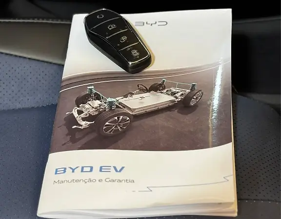 BYD Dolphin Mini - Imagem 19