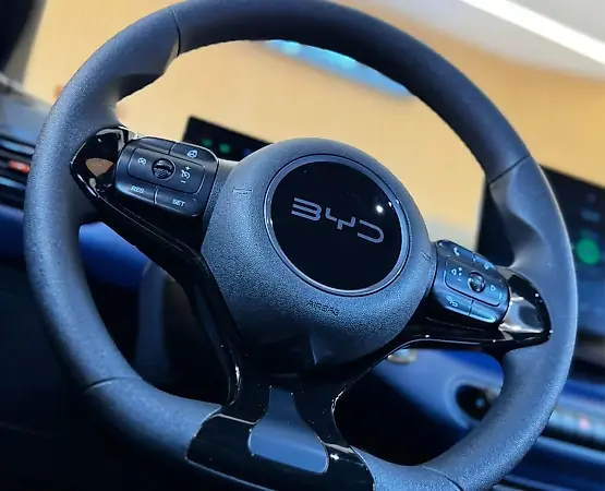 BYD Dolphin Mini - Imagem 13