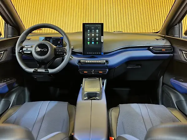 BYD Dolphin Mini - Imagem 16