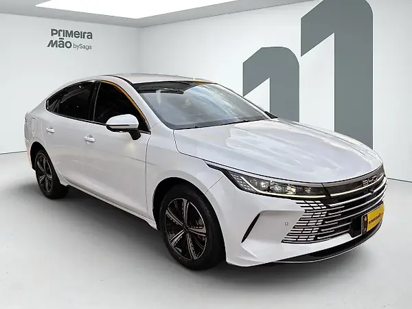 BYD King - Imagem 2
