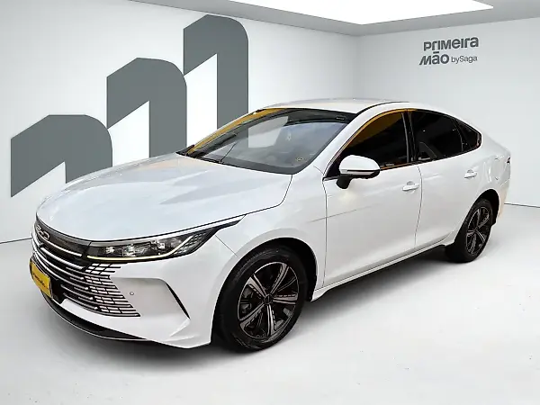 BYD King - Imagem 1