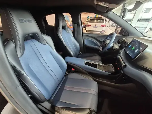 BYD Dolphin Mini - Imagem 13