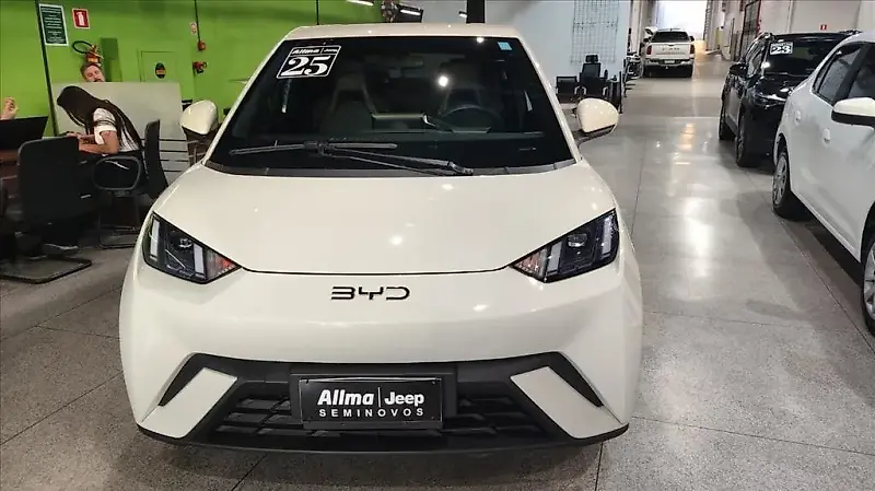 BYD Dolphin Mini - Imagem 12