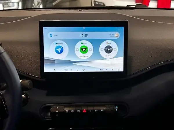 BYD Dolphin Mini - Imagem 10