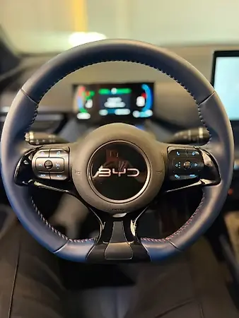 BYD Dolphin Mini - Imagem 13