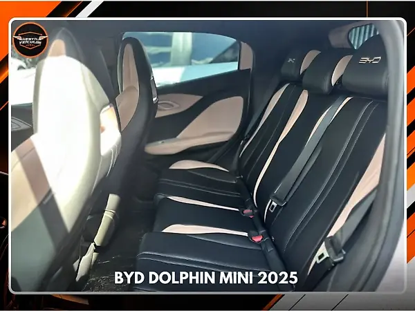 BYD Dolphin Mini - Imagem 8
