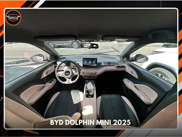 BYD Dolphin Mini - Imagem 9