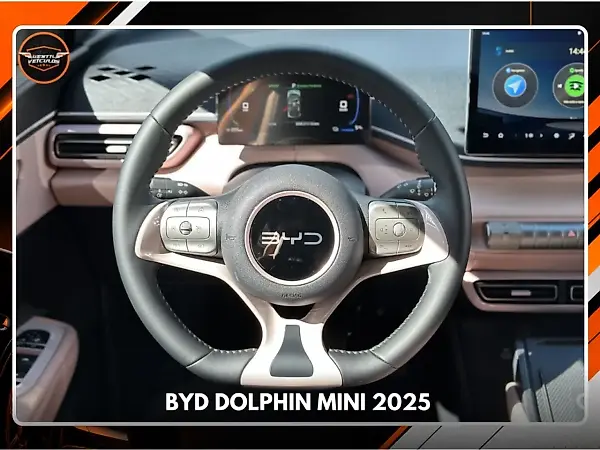 BYD Dolphin Mini - Imagem 10
