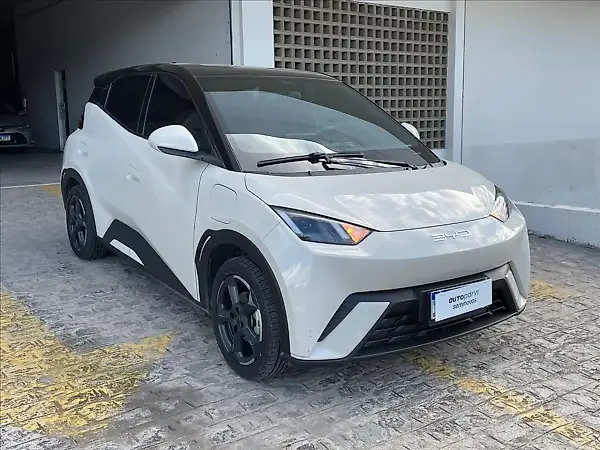 BYD Dolphin Mini - Imagem 1