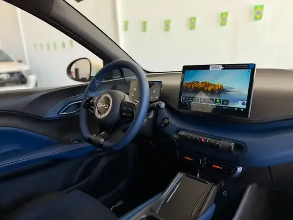 BYD Dolphin Mini - Imagem 8