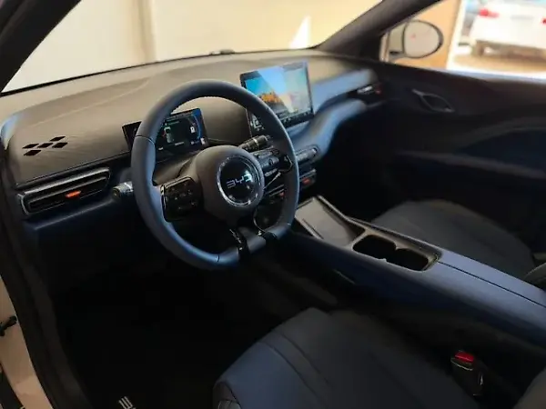 BYD Dolphin Mini - Imagem 14