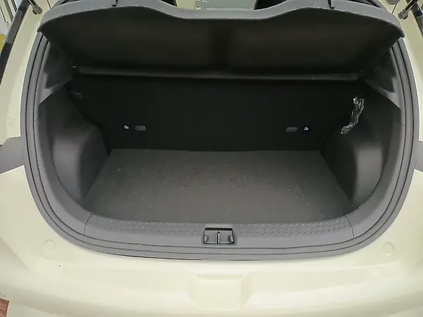 BYD Dolphin - Imagem 13