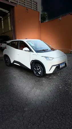 BYD Dolphin Mini - Imagem 20