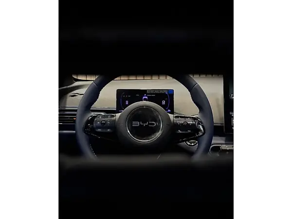 BYD Dolphin Mini - Imagem 12