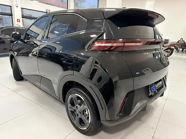 BYD Dolphin Mini - Imagem 11