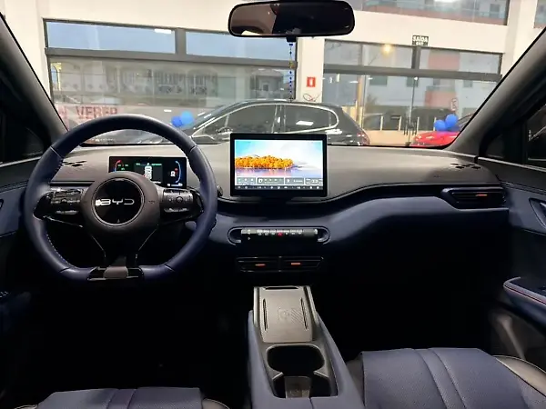 BYD Dolphin Mini - Imagem 13