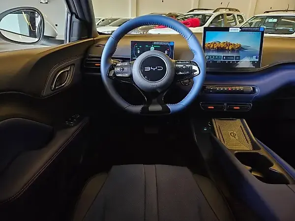 BYD Dolphin Mini - Imagem 10