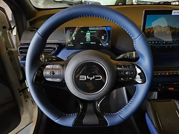 BYD Dolphin Mini - Imagem 11